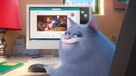 The Secret Life Of Pets Wallpapers - Wallpaper Cave